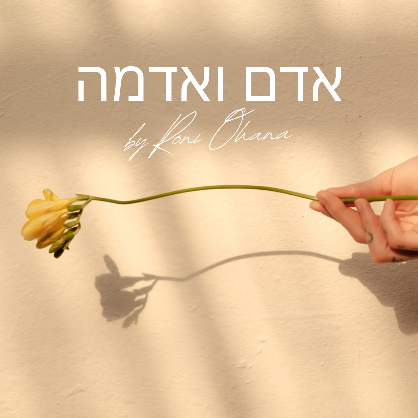 אדם ואדמה